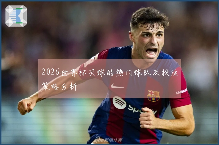 2026世界杯买球的热门球队及投注策略分析