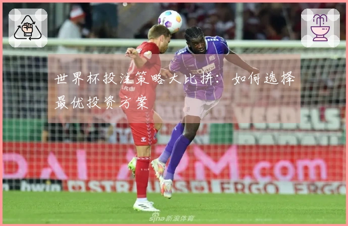 世界杯投注策略大比拼：如何选择最优投资方案