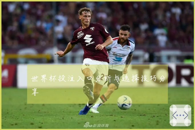 世界杯投注入口分析与选择技巧分享