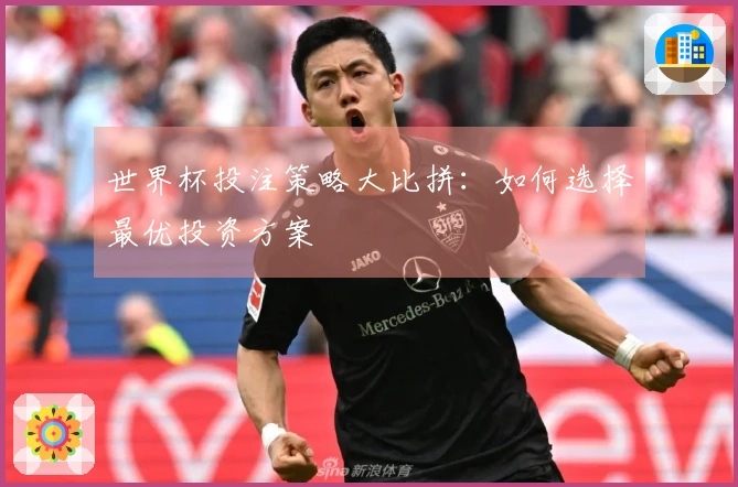 世界杯投注策略大比拼：如何选择最优投资方案