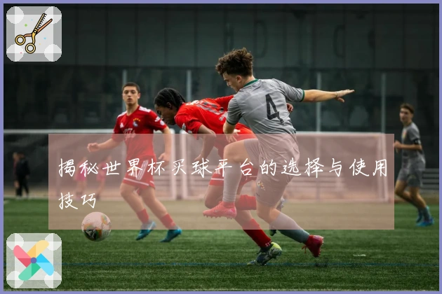 揭秘世界杯买球平台的选择与使用技巧