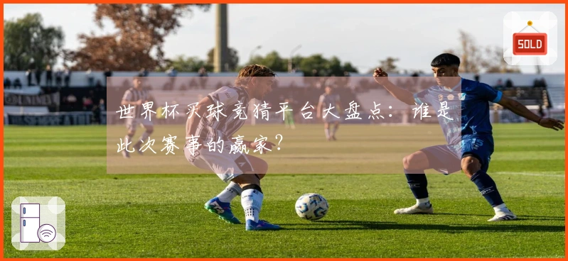 世界杯买球竞猜平台大盘点：谁是此次赛事的赢家？