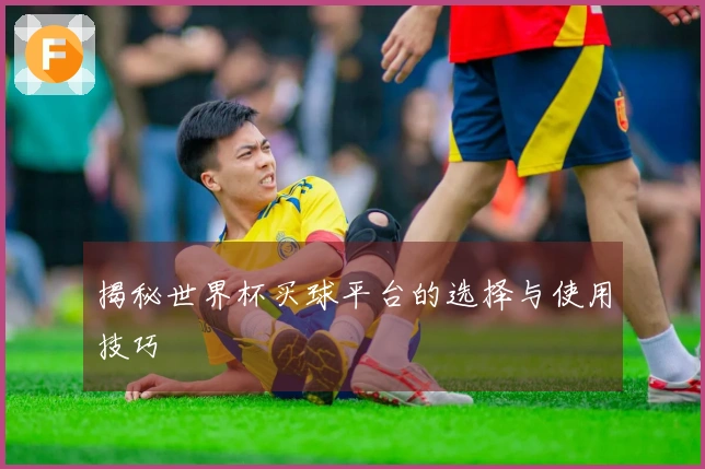 揭秘世界杯买球平台的选择与使用技巧