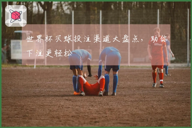 世界杯买球投注渠道大盘点，助你下注更轻松