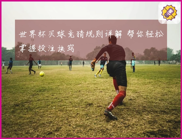 世界杯买球竞猜规则详解 帮你轻松掌握投注诀窍