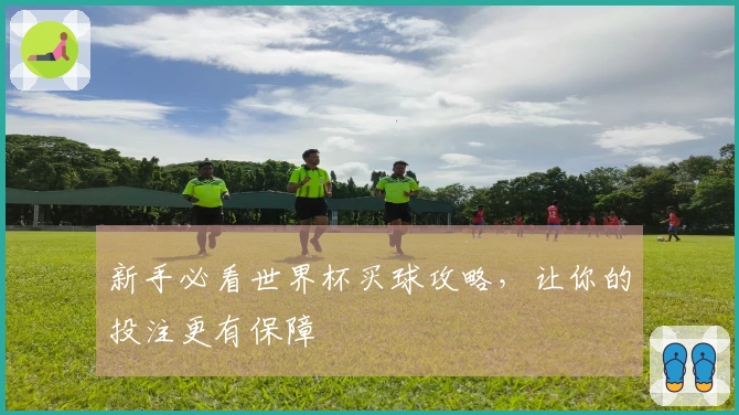 新手必看世界杯买球攻略，让你的投注更有保障