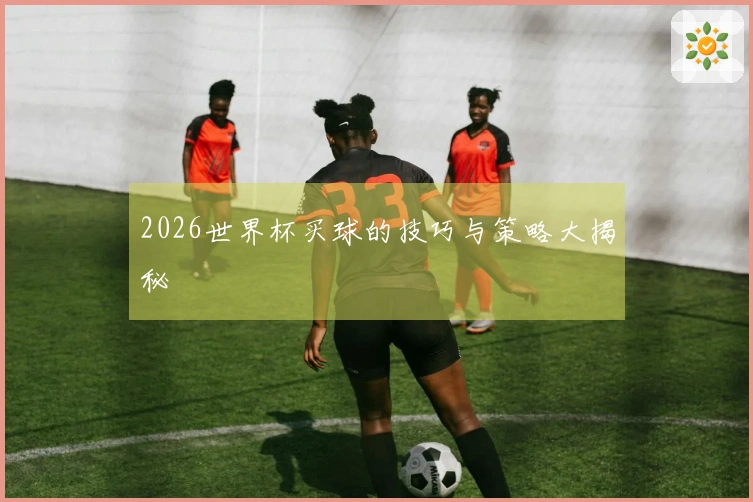 2026世界杯买球的技巧与策略大揭秘