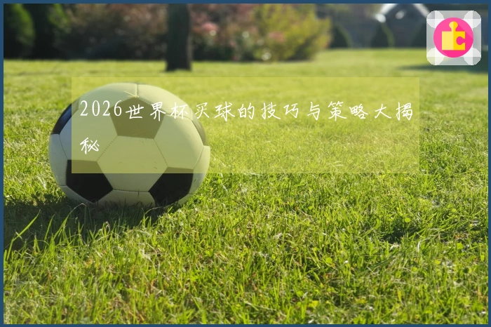 2026世界杯买球的技巧与策略大揭秘