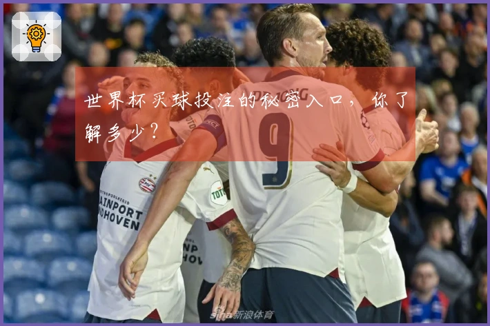 世界杯买球投注的秘密入口，你了解多少？