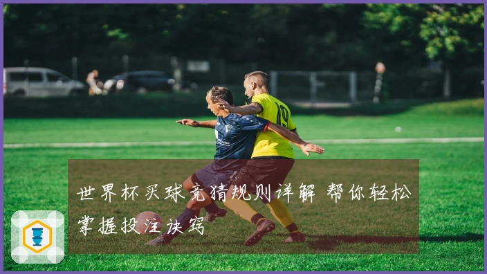 世界杯买球竞猜规则详解 帮你轻松掌握投注诀窍